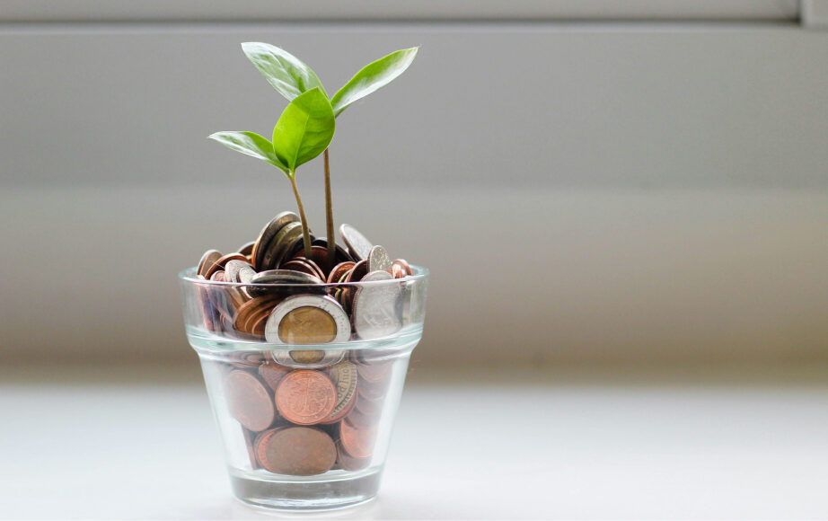 Money in glass with green plant representing debt and growth